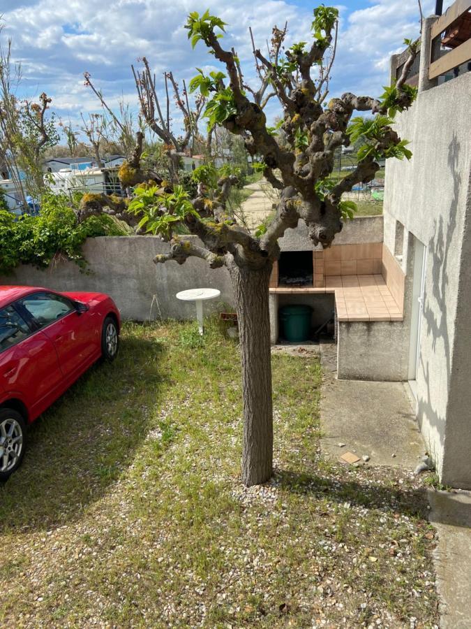 Appt Avec Parking, Clim, Wifi A 50 M De La Plage 帕拉瓦莱弗洛 外观 照片